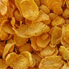 Sucrilhos sem Açúcar 100g