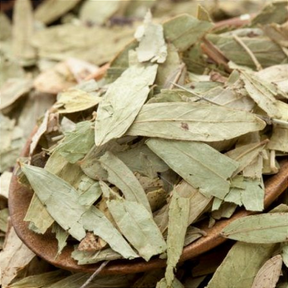 Sene Folhas 100g – Laxante Natural e Aliado do Bem-estar Digestivo
