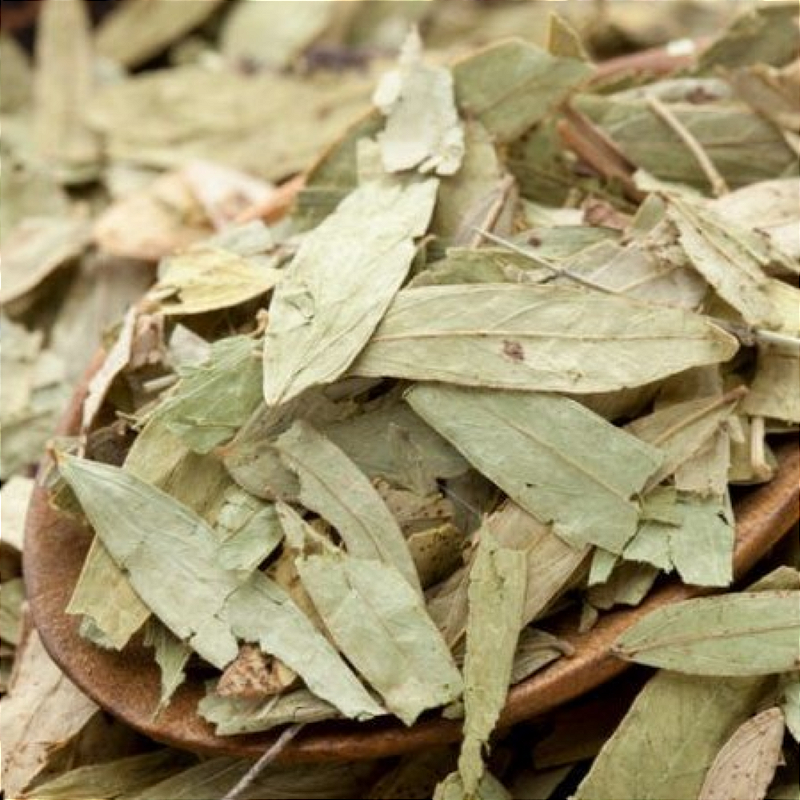 Sene Folhas 100g – Laxante Natural e Aliado do Bem-estar Digestivo