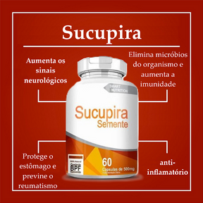 Sucupira 500 mg – 60 Cápsulas – Conforto Articular e Bem-Estar Natural