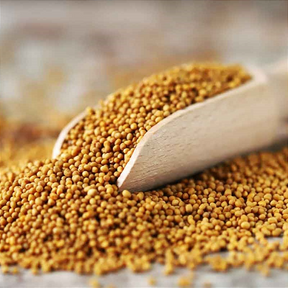 Mostarda Grão Amarela 100g - Sabor Intenso para Suas Receitas