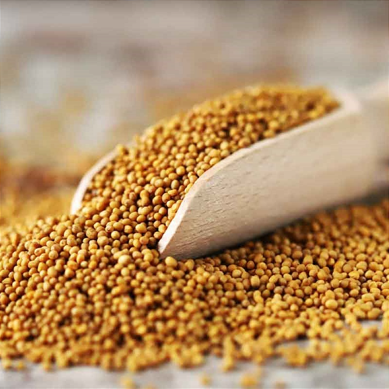 Mostarda Grão Amarela 100g - Sabor Intenso para Suas Receitas