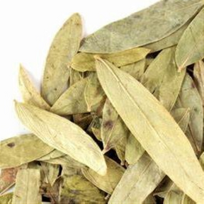 Sene Folhas 100g – Laxante Natural e Aliado do Bem-estar Digestivo