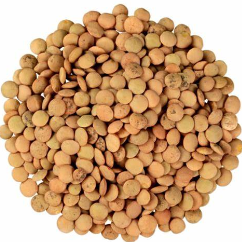 Lentilha Canadense 100g – Nutrição e Sabor para sua Alimentação!