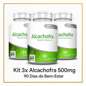 Kit Alcachofra 500mg (3 Unidades) – Equilíbrio e Bem-Estar Natural