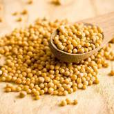 Mostarda Grão Amarela 100g - Sabor Intenso para Suas Receitas