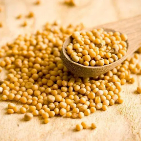 Mostarda Grão Amarela 100g - Sabor Intenso para Suas Receitas