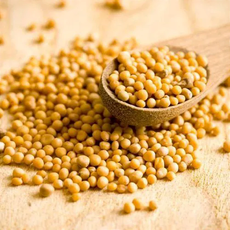 Mostarda Grão Amarela 100g - Sabor Intenso para Suas Receitas