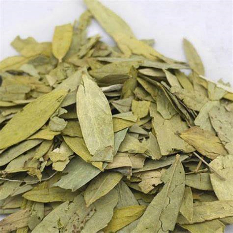 Sene Folhas 100g – Laxante Natural e Aliado do Bem-estar Digestivo