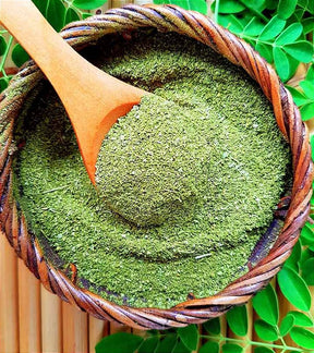 Moringa em Pó - 100g: O Superalimento para Seu Bem-Estar!