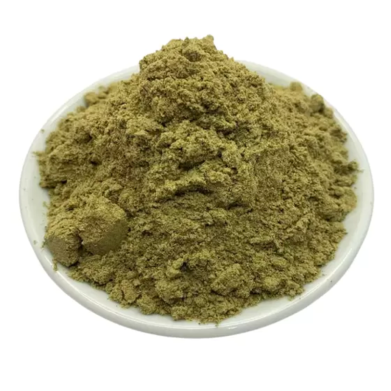 Ginkgo Biloba em Pó 100g - Potencialize sua Concentração e Bem-estar