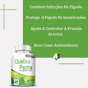 Quebra Pedra 500mg - 60 Cápsulas | Suporte Natural para a Saúde Renal
