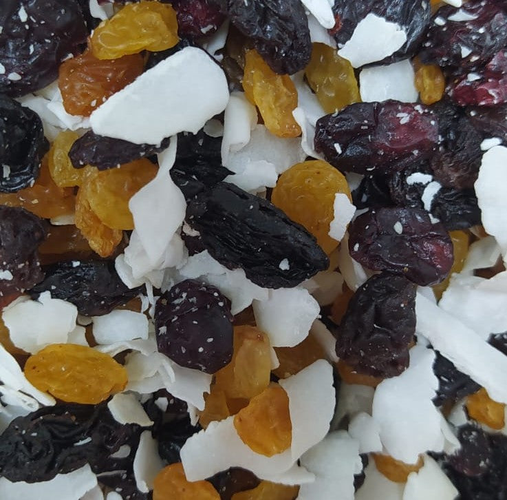 Mix de Frutas Secas 100g – Sabor, Saúde e Energia em Cada Porção!