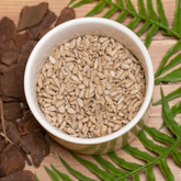 Pepitas de Girassol 100g – Nutrição e Energia em Cada Semente