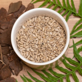 Pepitas de Girassol 100g – Nutrição e Energia em Cada Semente