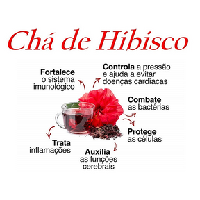 Kit Emagrecimento: 1 Ozempic Natural + 1 Thermo Abdomen – Queime Gordura e Alcance Seu Peso Ideal!