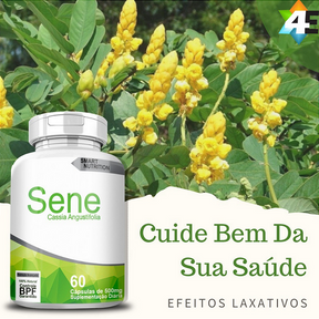 Sene 500 mg – 60 Cápsulas – Trânsito Intestinal Natural e Alívio Confiável